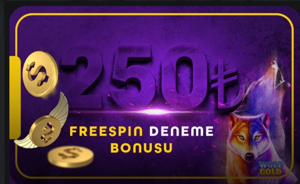 Slotpin Giriş