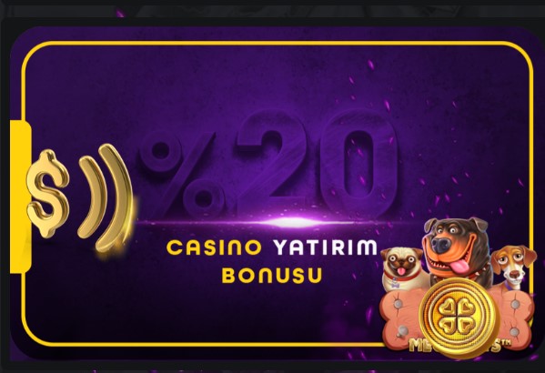 Slotpin Yeni Giriş